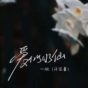 国产精品美女流白浆视频
